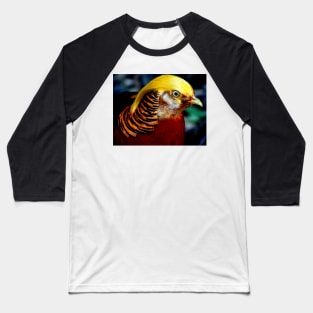 Pheasant Baseball T-Shirt